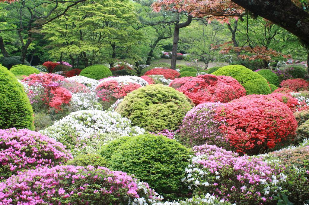 Hakone Kowakien Miyamafurin Hotell Exteriör bild