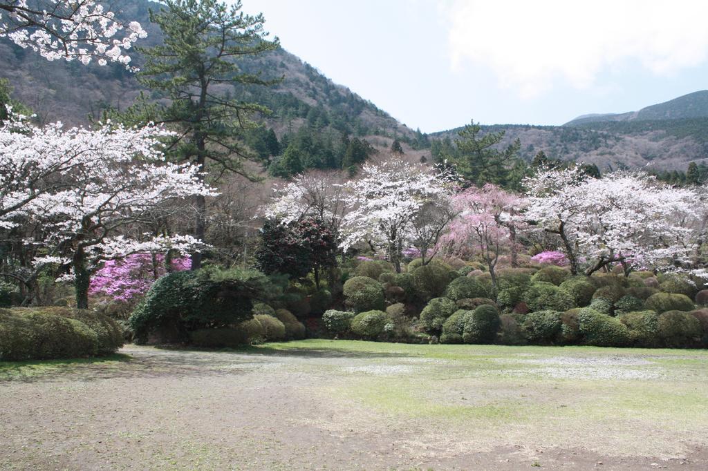 Hakone Kowakien Miyamafurin Hotell Exteriör bild